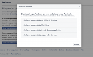 audience personnalisee facebook