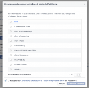 audience personnalisee facebook