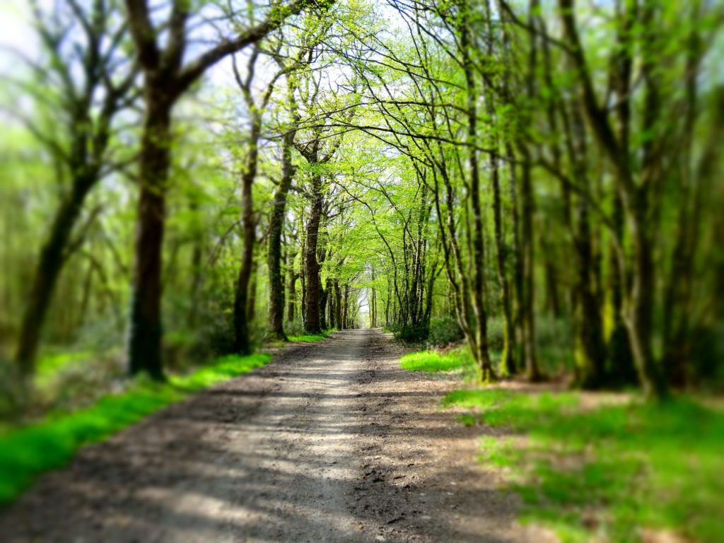 le chemin vers la réussite