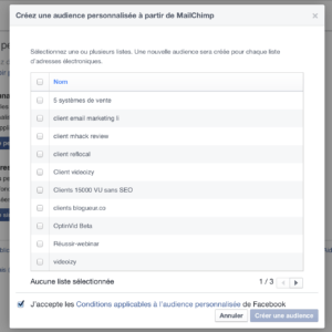 audience personnalisee facebook