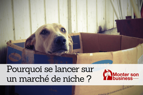 Pourquoi se lancer sur un marché de niche ?