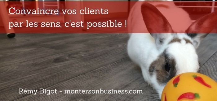 Neuromarketing : comment vendre aux cerveaux de vos clients ? MSB show 43