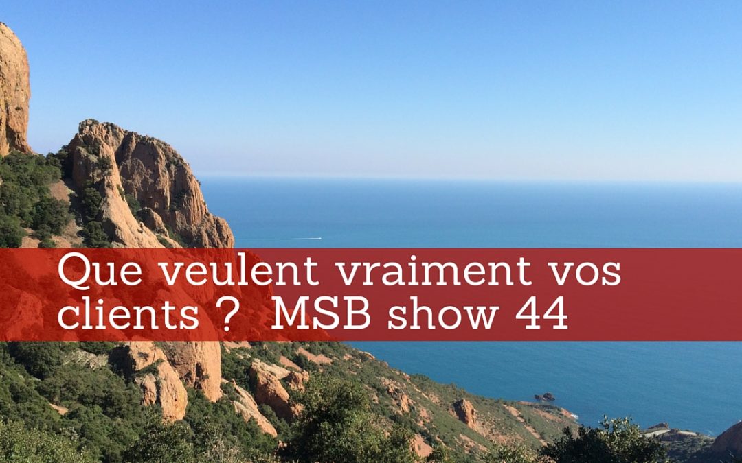 Comment mieux comprendre vos clients ? MSB show 44