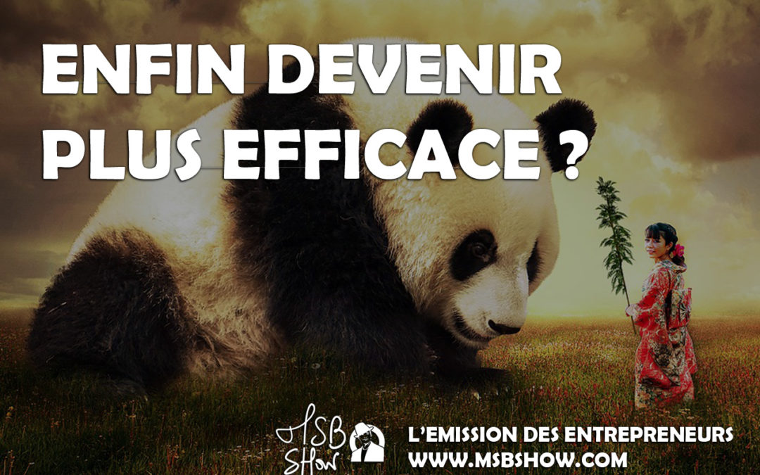 Je ne veux plus voir de pandas qui dansent