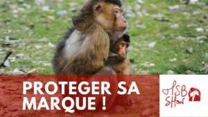 déposer marque