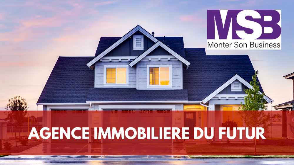 IA agence immobilière